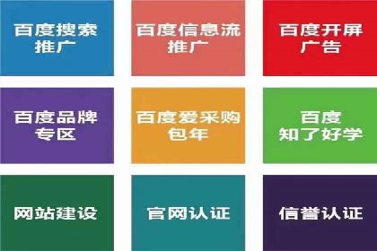 竞价排名在品牌推广中的经典案例